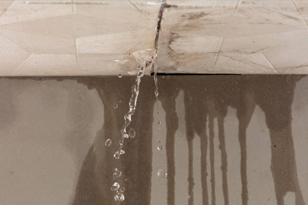 Professional Water Extraction technician working in Canton, MO